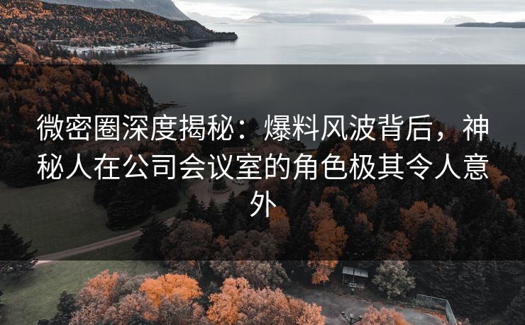 微密圈深度揭秘：爆料风波背后，神秘人在公司会议室的角色极其令人意外