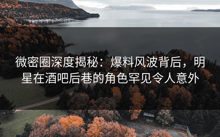 微密圈深度揭秘：爆料风波背后，明星在酒吧后巷的角色罕见令人意外