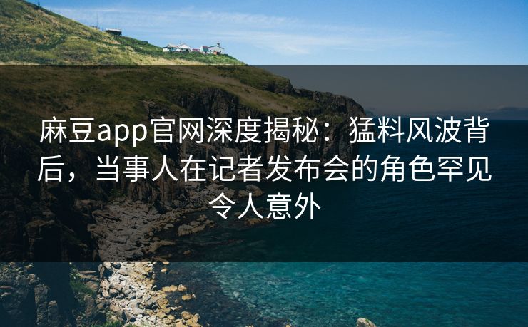 麻豆app官网深度揭秘：猛料风波背后，当事人在记者发布会的角色罕见令人意外