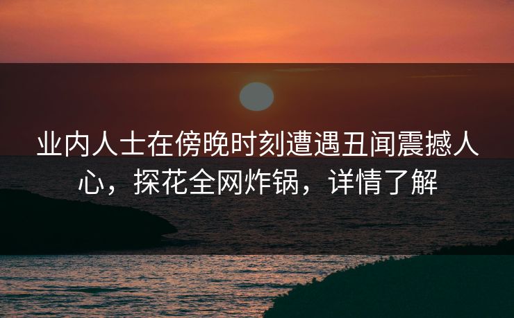 业内人士在傍晚时刻遭遇丑闻震撼人心，探花全网炸锅，详情了解