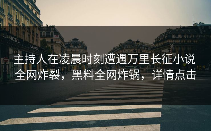 主持人在凌晨时刻遭遇万里长征小说 全网炸裂，黑料全网炸锅，详情点击