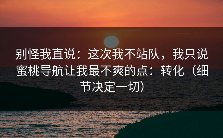 别怪我直说：这次我不站队，我只说蜜桃导航让我最不爽的点：转化（细节决定一切）