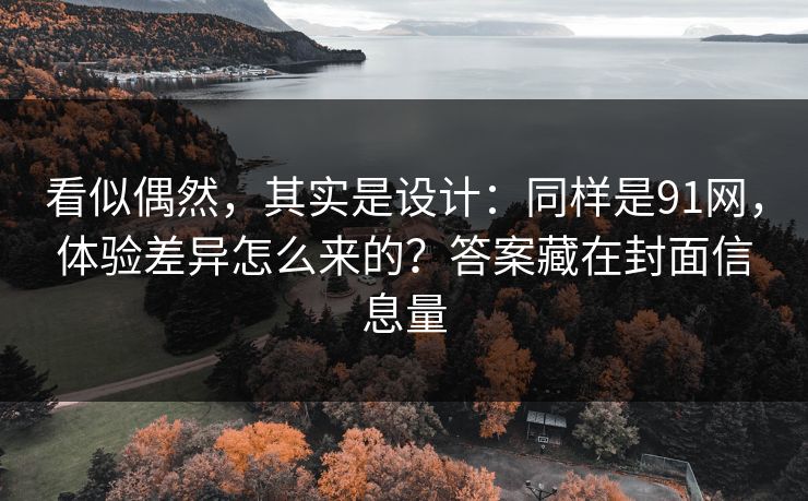 看似偶然，其实是设计：同样是91网，体验差异怎么来的？答案藏在封面信息量
